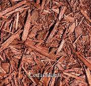 Ceda Mulch